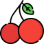 Cherry icon 64x64