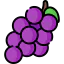 Grape icon 64x64