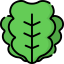 Lettuce icon 64x64