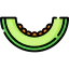Melon icon 64x64