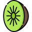 Kiwi icon 64x64