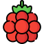 Raspberry 상 64x64