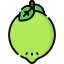 Lime icon 64x64