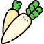 Radish icon 64x64