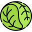 Cabbage icon 64x64