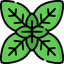 Basil アイコン 64x64