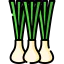 Spring onion icon 64x64