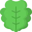 Lettuce icon 64x64