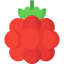 Raspberry アイコン 64x64