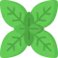 Basil アイコン 64x64