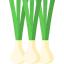 Spring onion icon 64x64
