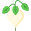 Turnip Ikona 64x64