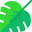 Monstera leaf Symbol 64x64