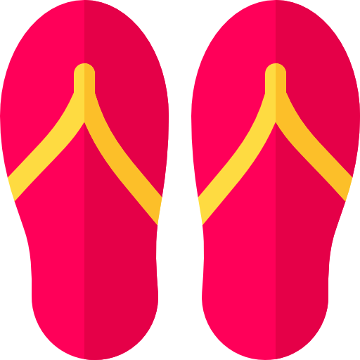 Flip flops icon