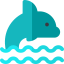 Dolphin icon 64x64