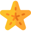 Starfish icon 64x64