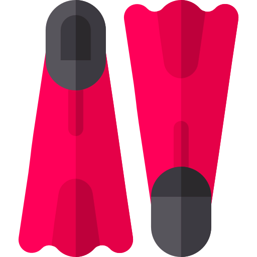 Flippers icon