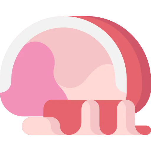 Ham icon