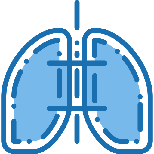 Lungs icon