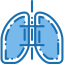 Lungs icon 64x64