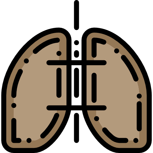 Lungs icon