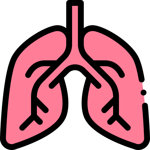 Lungs icon