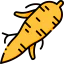 Ginseng icon 64x64