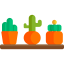 Cactus icône 64x64