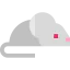 Rat icon 64x64