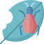 Pest icon 64x64