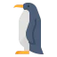 Penguin icon 64x64