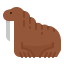 Walrus icon 64x64