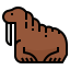 Walrus icon 64x64