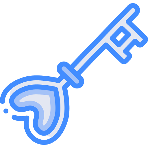 Key icon