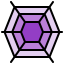 Spider web icon 64x64