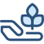 Sprout icon 64x64