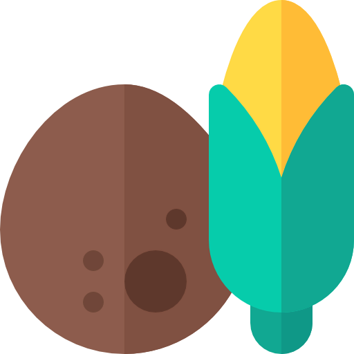 Coconut icon