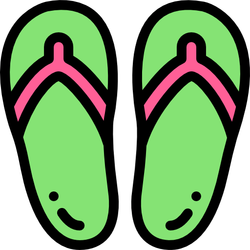 Flip flops icon