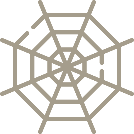 Spider web icon