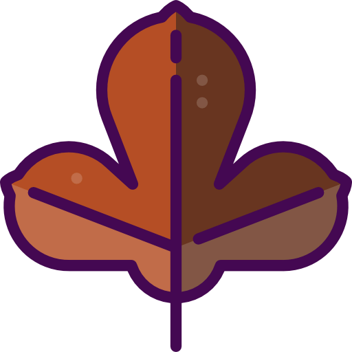 Leaf icône