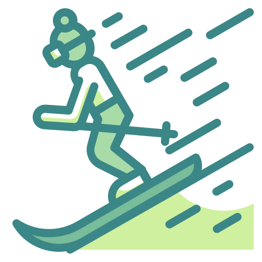 Ski icon