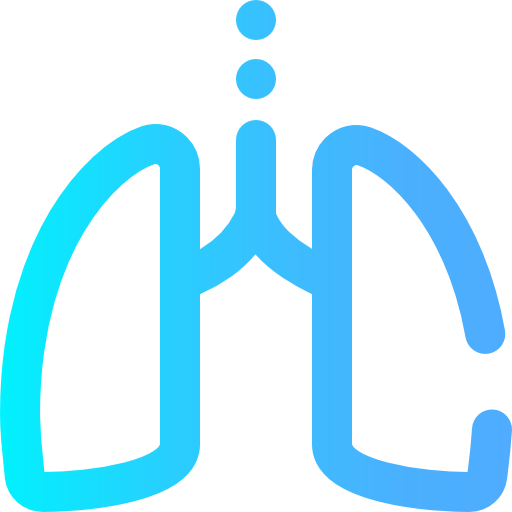Lungs icon