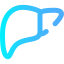 Liver icon 64x64