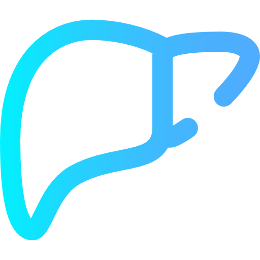 Liver icon