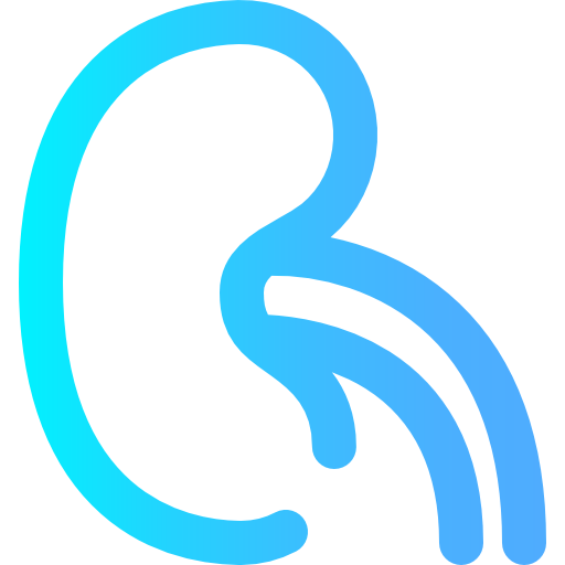 Kidney icon