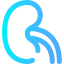 Kidney icon 64x64