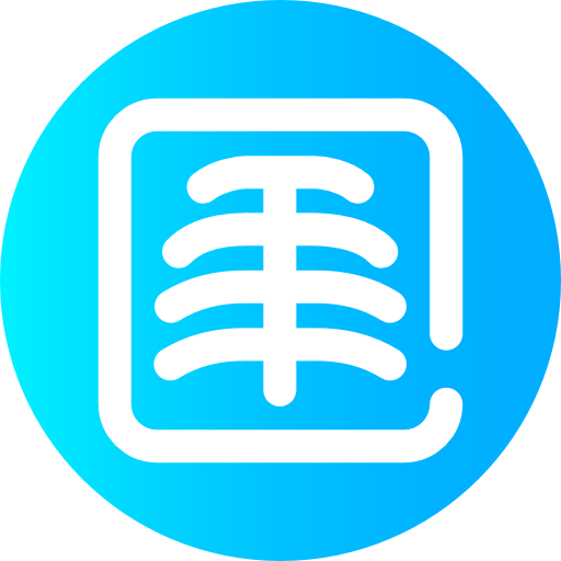 X ray icon