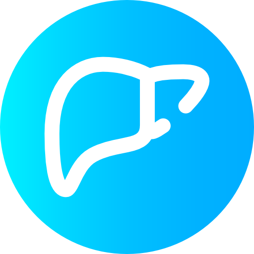 Liver icon
