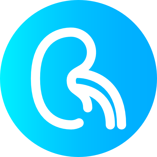 Kidney icon