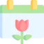 Spring icon 64x64